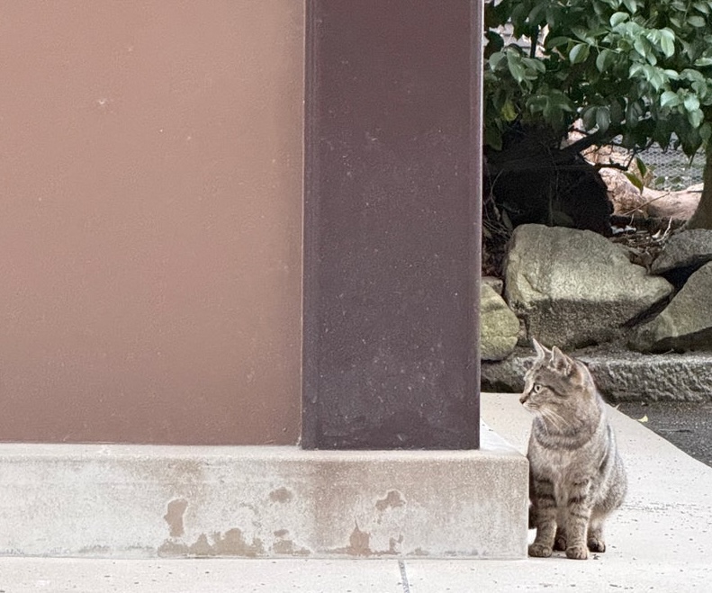 Have fun! って実際どういう状態なの？のイメージ